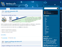 Tablet Screenshot of berthou.com
